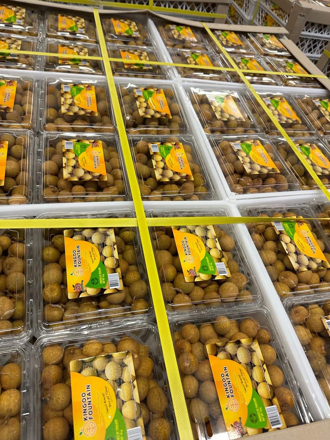 Kingoo Fountain Longan 1 kg fo r 12 euro products ready for transport from Bew thai op de Over ons