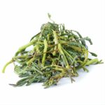 Watersensitive plant (Water mimosa)
