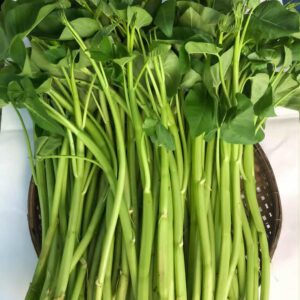 Thaise waterspinazie