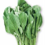 Chinese broccoli (Kai-lan)