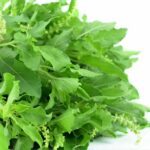 Thaise basilicum (Krapao)