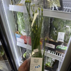 Lente-ui bloemen / jonge ui
